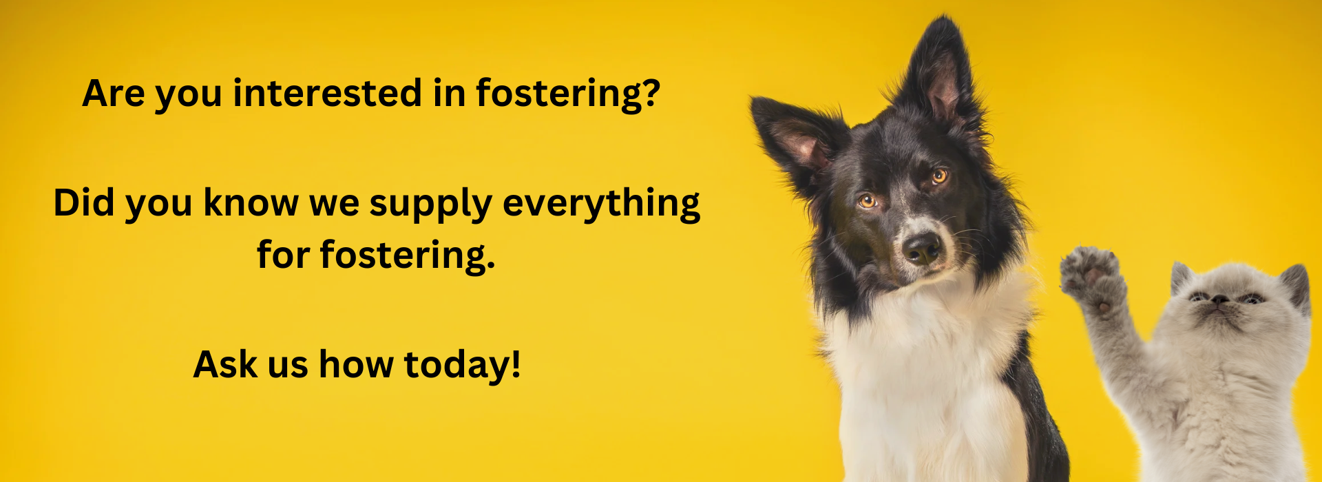 Fostering